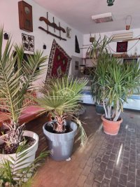 Nekretnina: Lokal u centru Boleča ID#1599