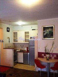 Nekretnina: Stan za izdavanje Dorćol ID#303378