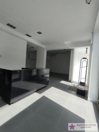 Nekretnina: Rakovica, Stari Košutnjak, Pere Velimirovića, 600m2