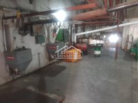 Nekretnina: Grocka - Umčari - Farma na 19a ID#24917