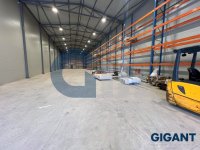 Nekretnina: OPŠTINA ZEMUN Pukovnika Milenka Pavlovića ID: 964836