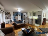 Nekretnina: OPŠTINA ZEMUN Dragana Rakića-Zemun ID: 9640111