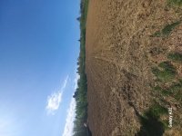 Nekretnina: ATRAKTIVAN PLAC NA FRUŠKOJ GORI – IRIG / HOPOVO