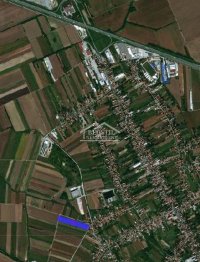 Nekretnina: Surčin - Dobanovci - 53a ID#24959