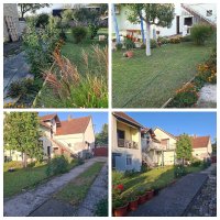 Nekretnina: Prodajem kucu u Temerinu sa Lokalom i 3 zasebna stana