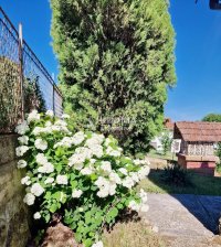 Nekretnina: Sopot, M.Požarevac, 5+, kuća, garaža, radionica ID#10467