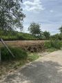 Plac na obroncima Fruske Gore