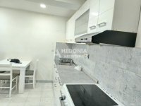 Nekretnina: Gornji Dorćol, 1.0 renoviran, opremljen ID#10478