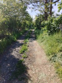 Nekretnina: Plac P=20 ara-Donji Matejevac ID#2433