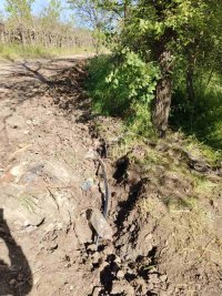 Nekretnina: Plac P=20 ara-Donji Matejevac ID#2433