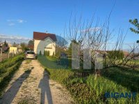 Nekretnina: OPŠTINA ZEMUN Katice Opačić ID: 9652079