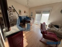 Nekretnina: OPŠTINA ZEMUN Katice Opačić ID: 9652079