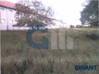 Nekretnina: PALILULA Zage Malivuk-Krnjača ID: 837292771
