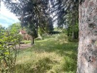 Nekretnina: Vrdnik, kuća, 4.0, 6ari plac, uknjižena ID#10494
