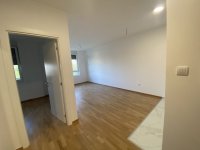 Nekretnina: Jednoiposoban stan, NOVI SAD, TELEP