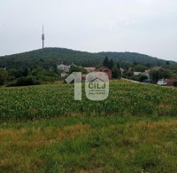 Nekretnina: Kuća-vila,  Avala ID#1547
