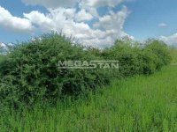 Nekretnina: Šiljakovac, plac u zelenilu