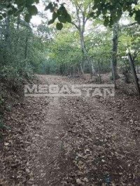 Nekretnina: Šiljakovac, plac u zelenilu