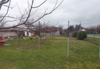 Nekretnina: Boljevci, plac u zoni gradnje