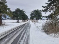 Nekretnina: Plac 107ari, blizu Devojačkog bunara