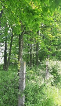 Nekretnina: Barajevo, Guncati