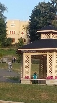 Nekretnina: Vila Vrnjačka banja-Centar