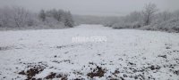 Nekretnina: Plac Nemenikuće, 42 ara