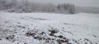 Nekretnina: Plac Nemenikuće, 42 ara