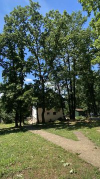 Nekretnina: MLADENOVAC LOVACKA ID: 603810
