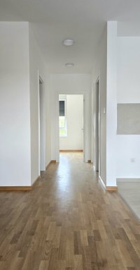 Nekretnina: Dvoiposoban stan, NOVI SAD, TELEP