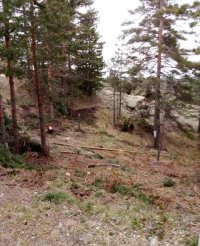 Nekretnina: Prodajem plac na Divčibarama