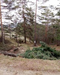 Nekretnina: Prodajem plac na Divčibarama