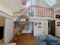 Nekretnina: ZVEZDARA Ledinačka ID: 96502132