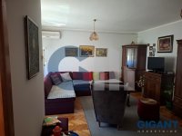 Nekretnina: RAKOVICA Kosmajskog odreda ID: 9679440