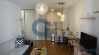 Nekretnina: PALILULA Mirka Milojkovića ID: 9692551