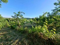 Nekretnina: Grocka - Zaklopača - 18a ID#25242