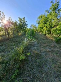 Nekretnina: Grocka - Zaklopača - 18a ID#25242