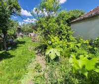 Nekretnina: Surčin, Dobanovci, Lole Ribara ID#39399