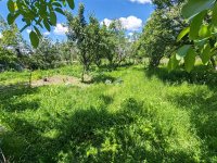 Nekretnina: Surčin, Dobanovci, Lole Ribara ID#39399