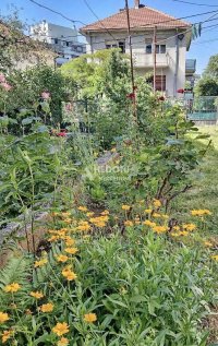 Nekretnina: Kanarevo brdo, spratna kuća, 3.5 ari plac ID#10539
