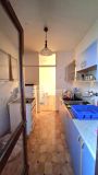 Vidikovac, Vidikovački venac, 50m2 ID#1671