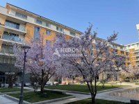 Nekretnina: West 65, izdavanje, noviji, atraktivan lokal 106 m2 ID#10541