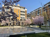 Nekretnina: West 65, izdavanje, noviji, atraktivan lokal 106 m2 ID#10541
