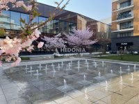 Nekretnina: West 65, izdavanje, noviji, atraktivan lokal 106 m2 ID#10541