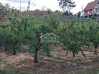 Nekretnina: Plac - Zakopača - 31ar ID#25316
