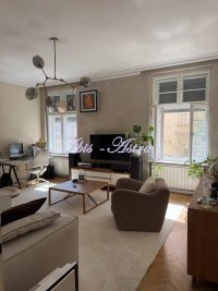 Nekretnina: Salonski stan za prodaju centar ID#699476
