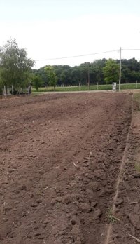 Nekretnina: Prodajem plac u Vognju-Ruma