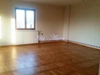 Nekretnina: Prazan stan za izdavanje Banjica ID#715086