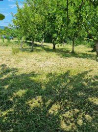 Nekretnina: Vrnjačka Banja - Ruđinci - 10 ari ID#24304