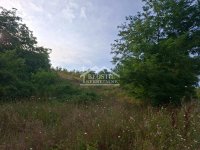 Nekretnina: Grocka - Vrčin - 50ari ID#25498